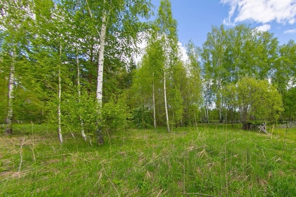 
  Продам  участок ИЖС, 15 соток, Синий Утёс

. Фото 2.