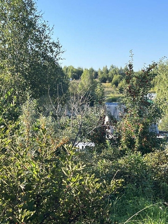 
  Продам  дачный участок, 2 соток, Томск

. Фото 1.