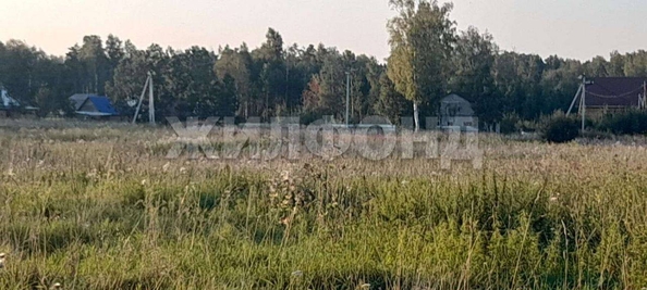
  Продам  дачный участок, 10 соток, Кафтанчиково

. Фото 2.