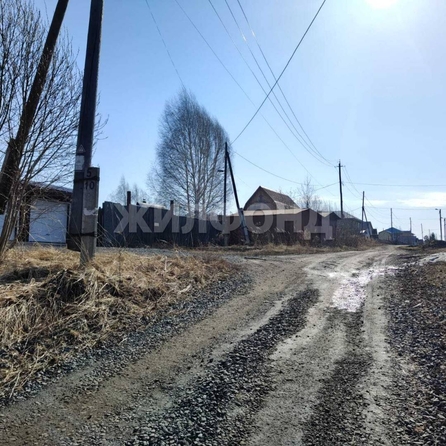 
  Продам  дачный участок, 15 соток, Томск

. Фото 13.