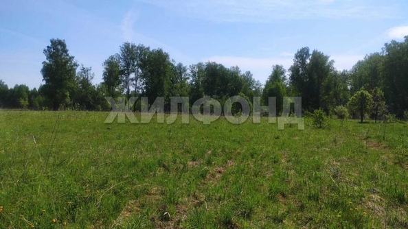 
  Продам  дачный участок, 12 соток, Томск

. Фото 1.