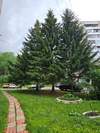 
  Продам 1-комн. квартиру, 33.2 м², Королева ул, д. 6
. Фото 23.