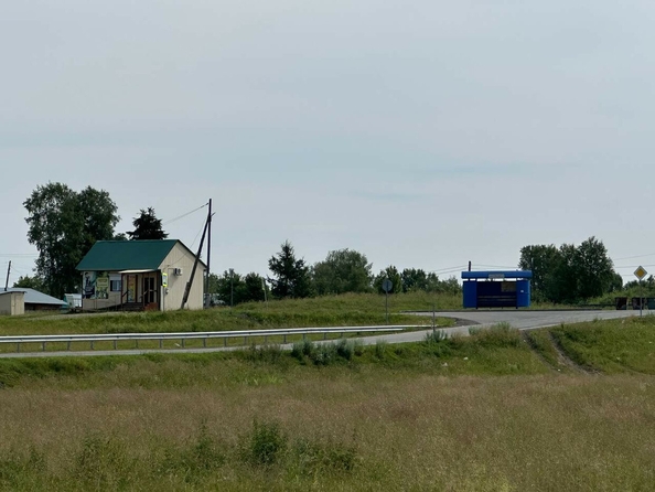 
  Продается дом, 56 м², село Наумовка
. Фото 4.
