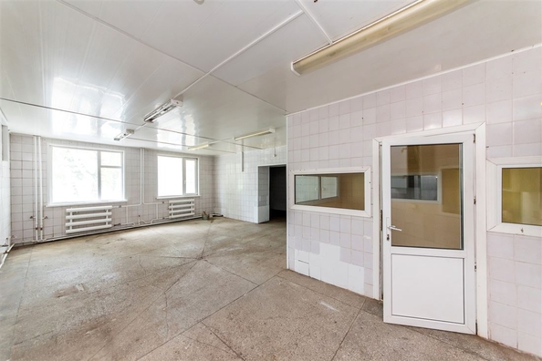 
  Сдается производственное помещение, 367.5 м², Мокрушина ул
. Фото 6.