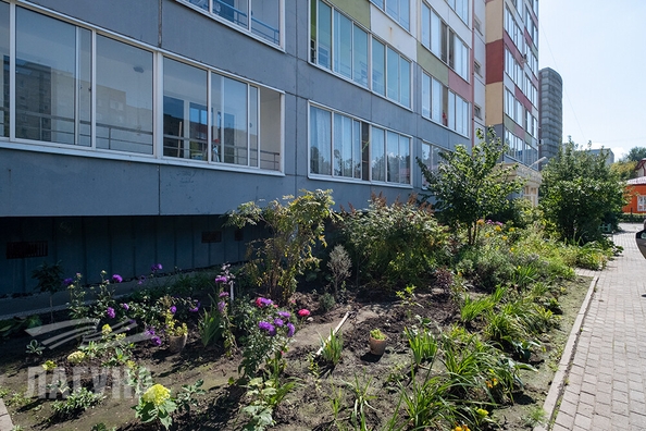 
  Продается 1-комн. квартира, 35 м², Сибирская ул, д. 83
. Фото 4.