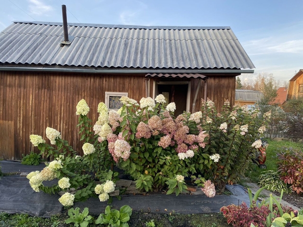 
  Продается дача, 48 м², деревня Писарево
. Фото 15.