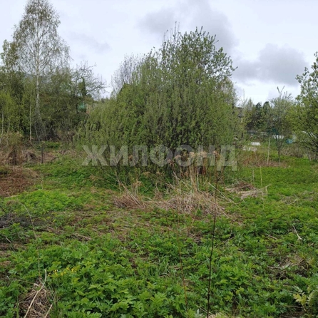 
  Продается земельный участок, 6.9 соток, Томск
. Фото 1.