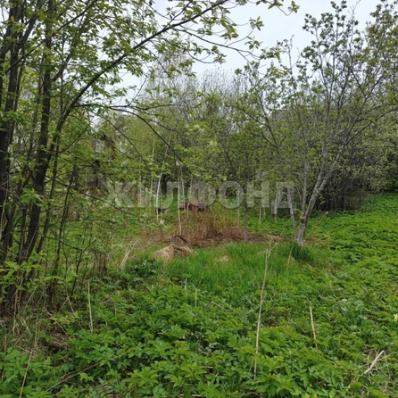 
  Продается земельный участок, 6.9 соток, Томск
. Фото 2.