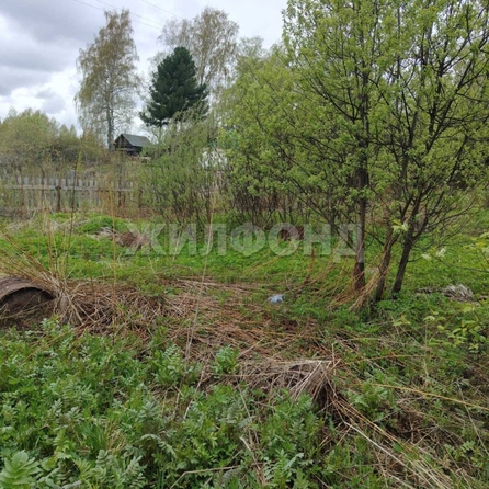 
  Продается земельный участок, 6.9 соток, Томск
. Фото 8.