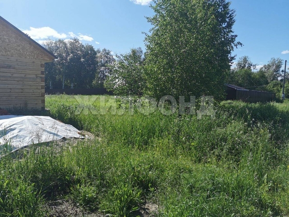 
  Продается земельный участок, 15 соток, село Кафтанчиково
. Фото 4.