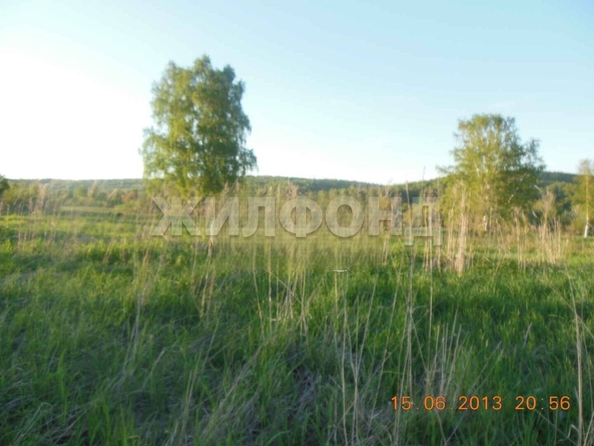 
  Продается земельный участок, 25 соток, село Лучаново
. Фото 3.