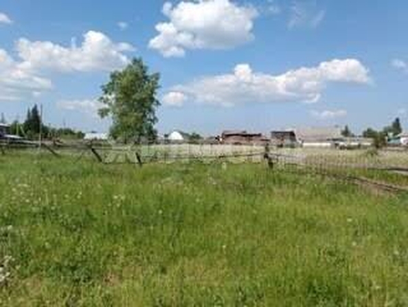 
  Продается земельный участок, 15 соток, деревня Барабинка
. Фото 3.