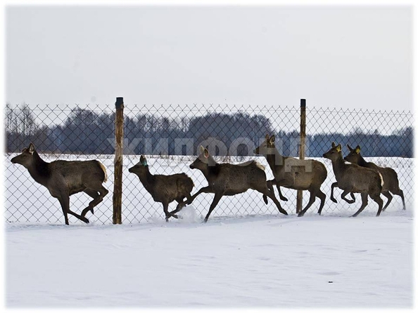 
  Продается дом, 92 м², село Елгай
. Фото 15.