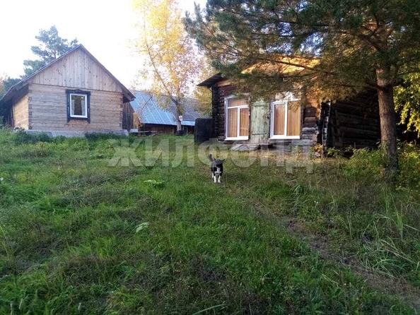 
  Продается дом, 60 м², село Кривошеино
. Фото 1.