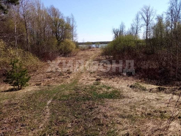 
  Продается дом, 60 м², село Кривошеино
. Фото 5.