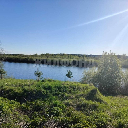 
  Продается земельный участок, 7.29 соток, Томск
. Фото 20.