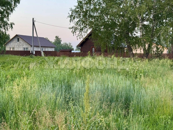 
  Продается земельный участок, 9.76 соток, село Курлек
. Фото 1.