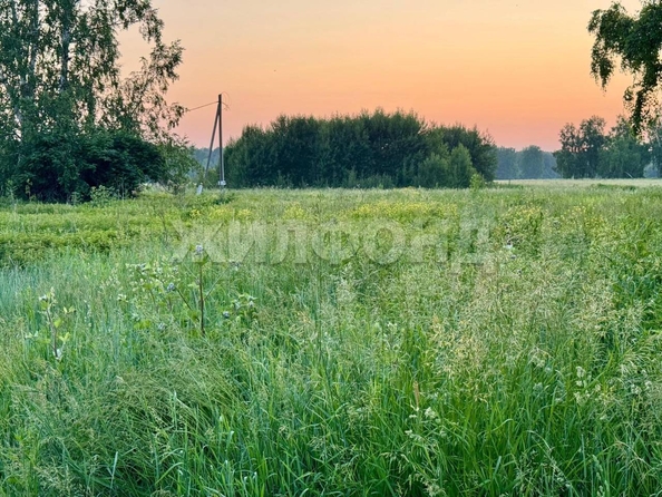
  Продается земельный участок, 9.76 соток, село Курлек
. Фото 14.