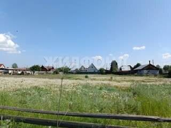 
  Продается земельный участок, 8 соток, деревня Барабинка
. Фото 1.