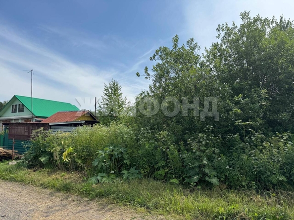 
  Продается земельный участок, 14.94 соток, село Калтай
. Фото 5.