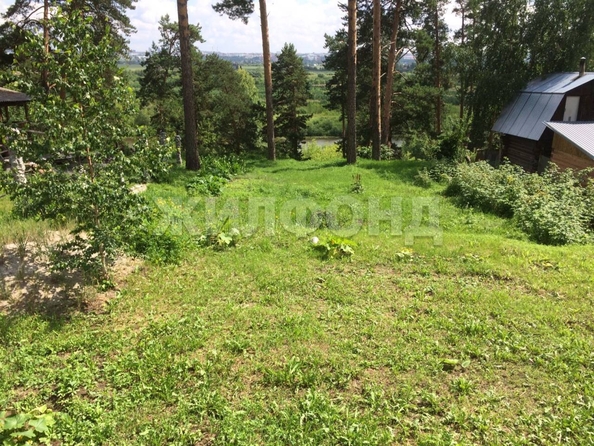 
  Продается дом, 35 м², село Тимирязевское
. Фото 4.