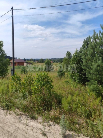 
  Продается земельный участок, 9.89 соток, село Корнилово
. Фото 4.