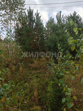 
  Продается земельный участок, 9.89 соток, село Корнилово
. Фото 10.