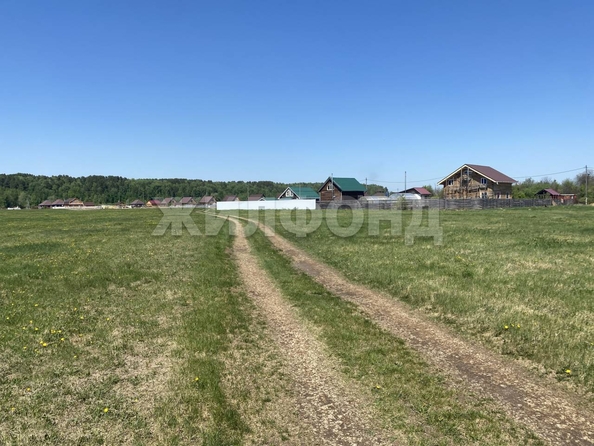 
  Продается земельный участок, 15 соток, село Курлек
. Фото 1.