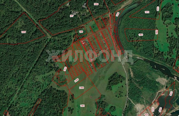 
  Продается земельный участок, 15 соток, село Курлек
. Фото 3.