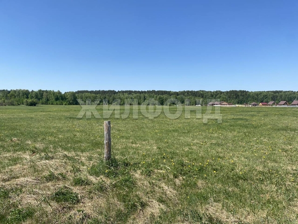 
  Продается земельный участок, 15 соток, село Курлек
. Фото 12.