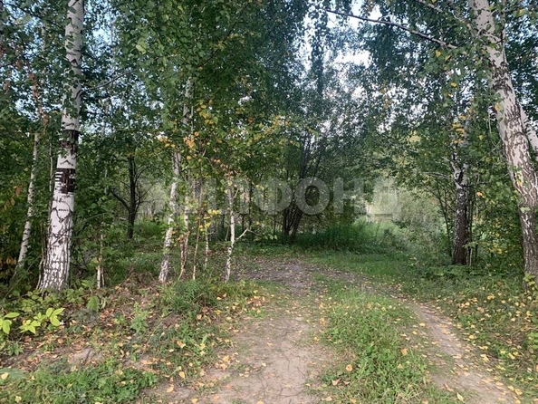 
  Продается дача, 36 м², Томск
. Фото 8.