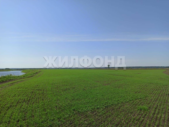 
  Продается земельный участок, 2480 соток, село Вершинино
. Фото 2.