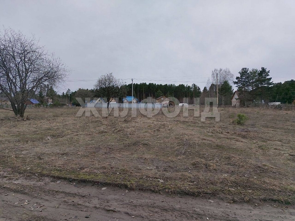 
  Продается земельный участок, 10 соток, село Моряковский Затон
. Фото 2.