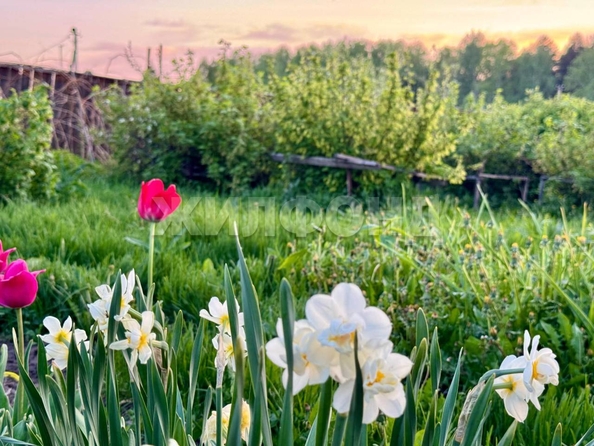 
  Продается дача, 77.6 м², село Курлек
. Фото 13.