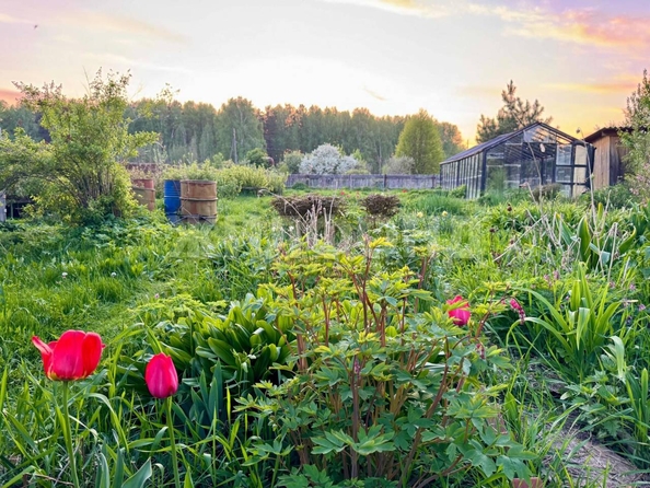 
  Продается дача, 77.6 м², село Курлек
. Фото 15.