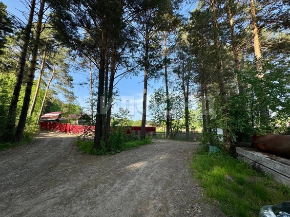 
  Продается земельный участок, 15 соток, село Курлек
. Фото 8.