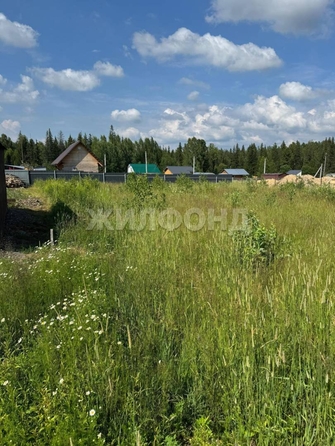 
  Продается земельный участок, 7.25 соток, село Корнилово
. Фото 8.