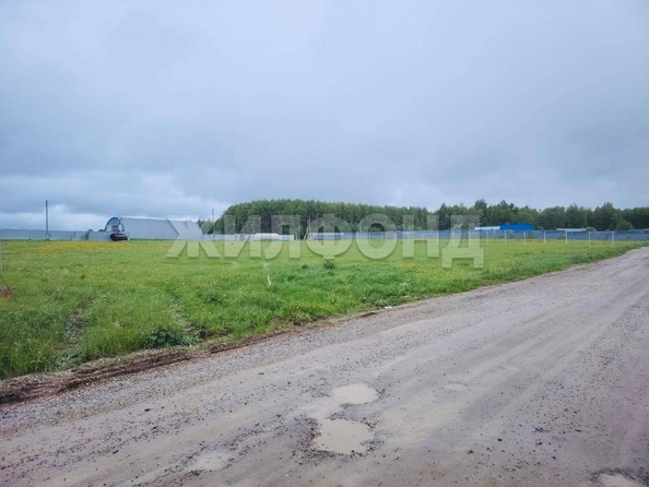 
  Продается земельный участок, 65 соток, деревня Лязгино
. Фото 1.