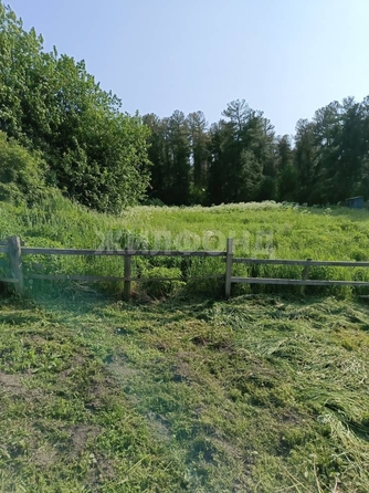 
  Продается земельный участок, 26 соток, село Зоркальцево
. Фото 6.