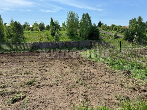 
  Продается дом, 30.2 м², село Курлек
. Фото 14.