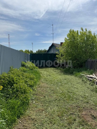 
  Продается дом, 30.2 м², село Курлек
. Фото 16.