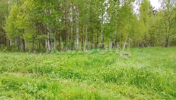 
  Продается земельный участок, 6 соток, деревня Кисловка
. Фото 1.