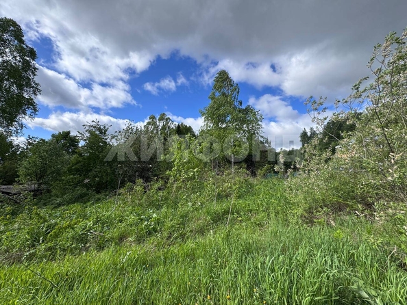 
  Продается земельный участок, 10 соток, село Коларово
. Фото 3.