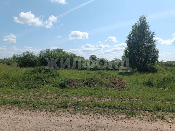 
  Продается земельный участок, 15 соток, село Калтай
. Фото 2.