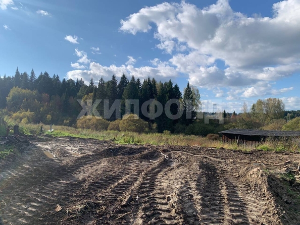 
  Продается земельный участок, 31 сотка, село Корнилово
. Фото 1.