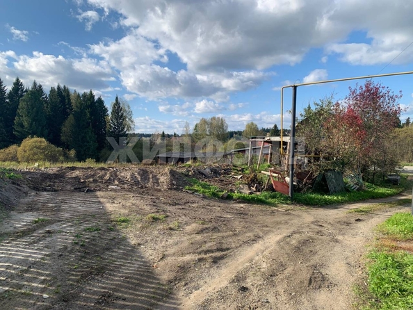 
  Продается земельный участок, 31 сотка, село Корнилово
. Фото 4.