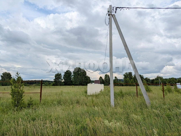 
  Продается земельный участок, 13.5 соток, село Вершинино
. Фото 3.