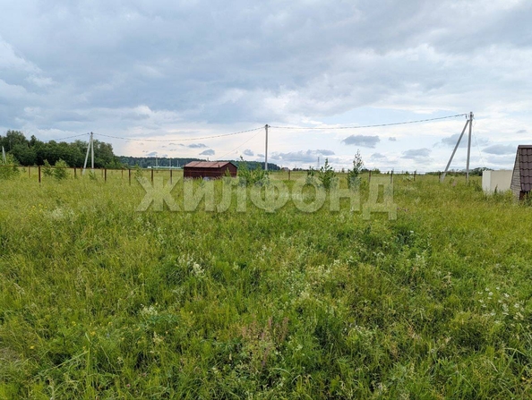 
  Продается земельный участок, 13.5 соток, село Вершинино
. Фото 5.