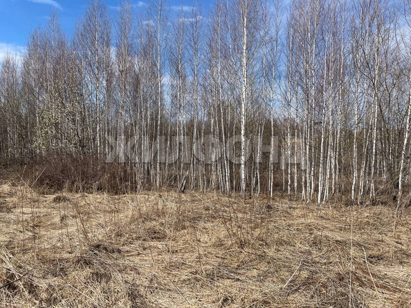 
  Продается земельный участок, 6 соток, Томск
. Фото 3.