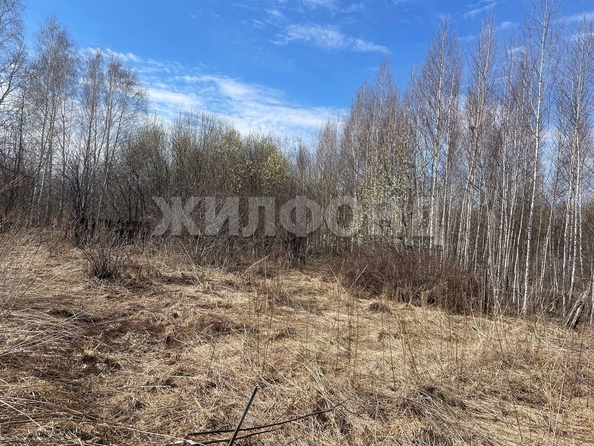 
  Продается земельный участок, 6 соток, Томск
. Фото 4.